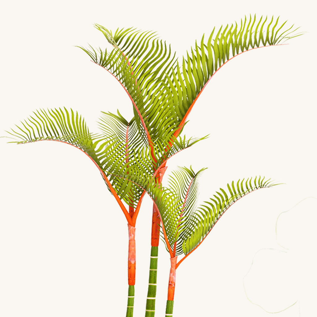 Lipstick Palm